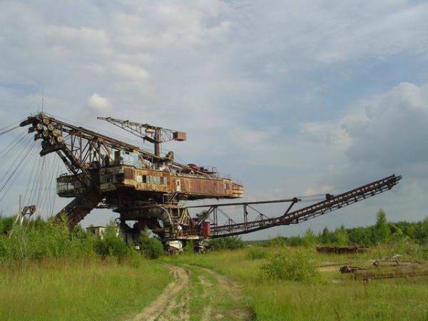 Абзацеры – вымирающие гиганты Лопатинского рудника. (Подмосковье ).