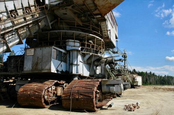 Абзацеры – вымирающие гиганты Лопатинского рудника. (Подмосковье ).