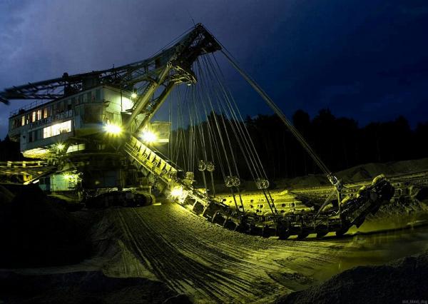 Абзацеры – вымирающие гиганты Лопатинского рудника. (Подмосковье ).