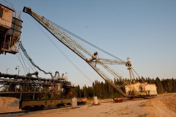 Абзацеры – вымирающие гиганты Лопатинского рудника. (Подмосковье ).