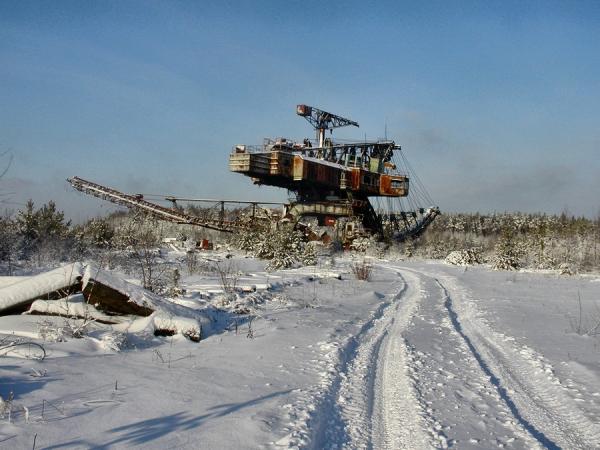 Абзацеры – вымирающие гиганты Лопатинского рудника. (Подмосковье ).