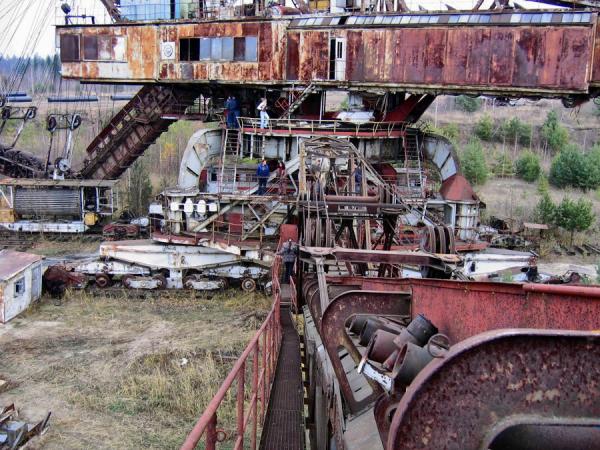 Абзацеры – вымирающие гиганты Лопатинского рудника. (Подмосковье ).