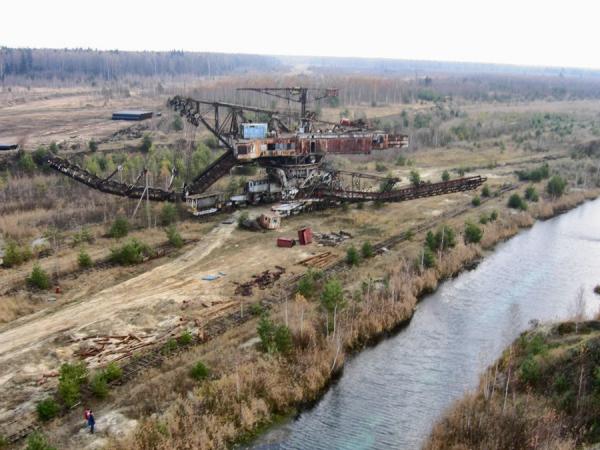 Абзацеры – вымирающие гиганты Лопатинского рудника. (Подмосковье ).