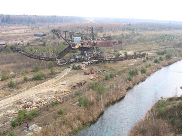 Абзацеры – вымирающие гиганты Лопатинского рудника. (Подмосковье ).