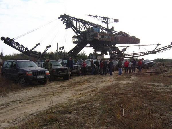 Абзацеры – вымирающие гиганты Лопатинского рудника. (Подмосковье ).