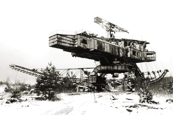 Абзацеры – вымирающие гиганты Лопатинского рудника. (Подмосковье ).