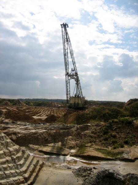 Абзацеры – вымирающие гиганты Лопатинского рудника. (Подмосковье ).