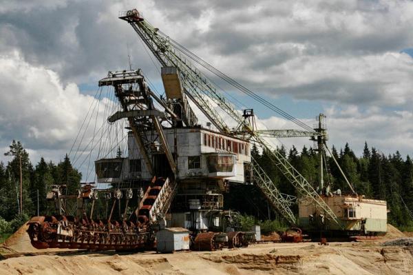 Абзацеры – вымирающие гиганты Лопатинского рудника. (Подмосковье ).