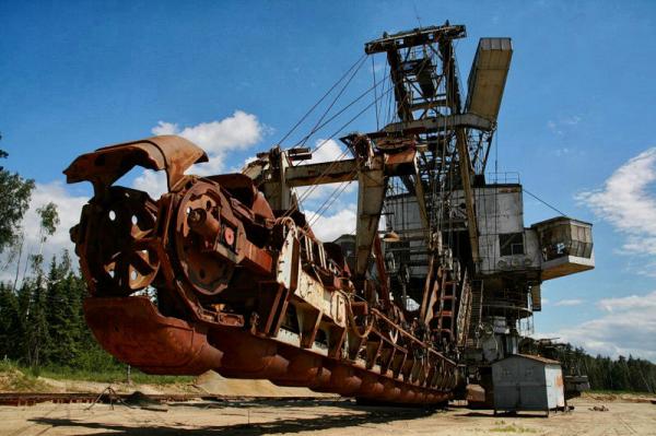 Абзацеры – вымирающие гиганты Лопатинского рудника. (Подмосковье ).