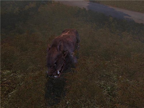 Билдовские текстуры для Тень Чернобыля