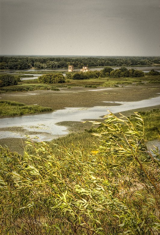 Деревня Гусинцы. (Украина). 