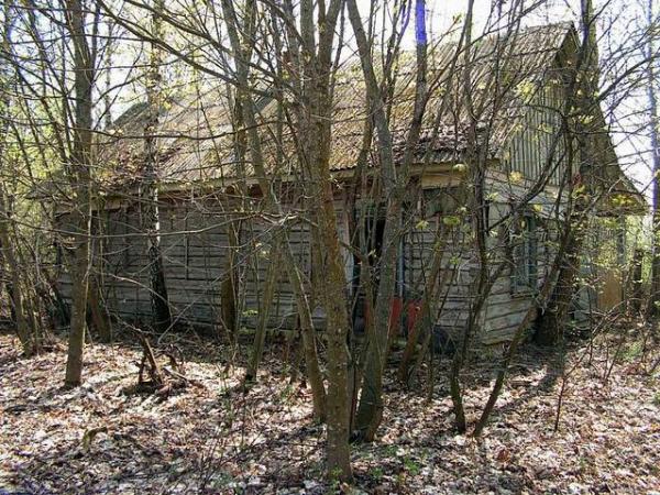 Деревня Острогляды (Беларусь). Деревня Острогляды (Беларусь).