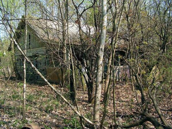 Деревня Острогляды (Беларусь). Деревня Острогляды (Беларусь).