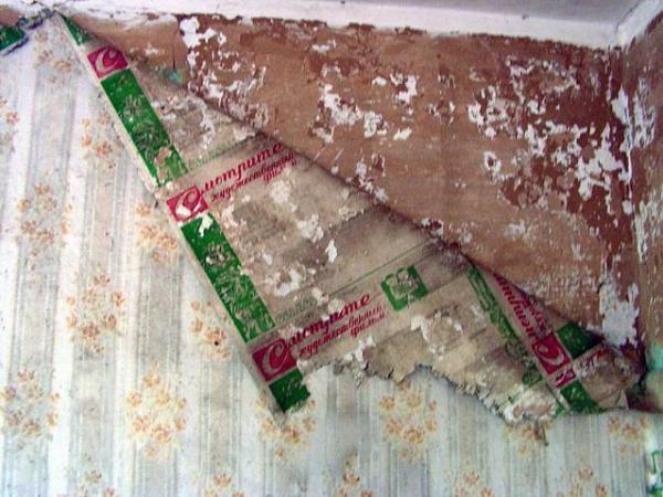 Деревня Острогляды (Беларусь). Деревня Острогляды (Беларусь).