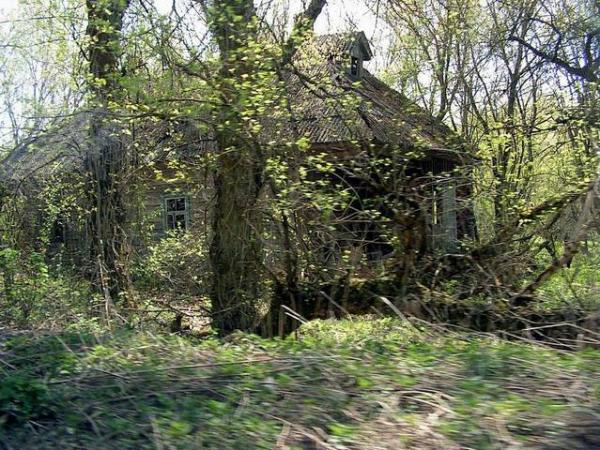 Деревня Острогляды (Беларусь). Деревня Острогляды (Беларусь).