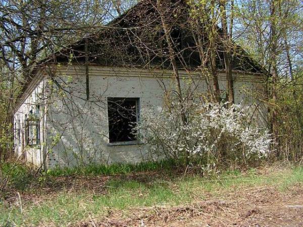 Деревня Острогляды (Беларусь). Деревня Острогляды (Беларусь).