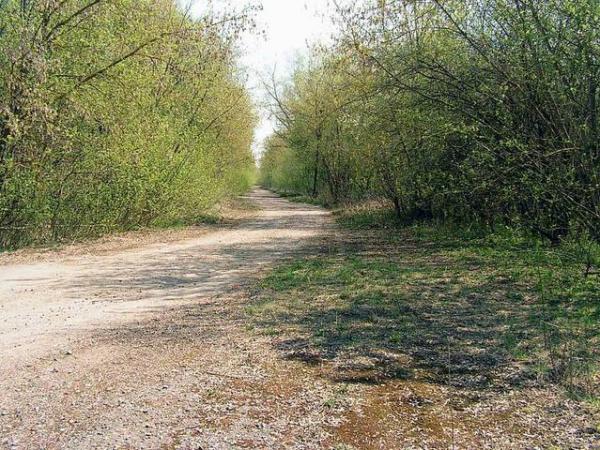 Деревня Острогляды (Беларусь). Деревня Острогляды (Беларусь).