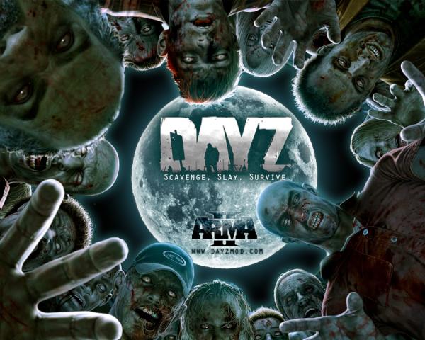 Это все Day Z. Ваша личная история.