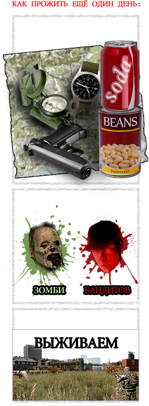 Это все Day Z. Ваша личная история.