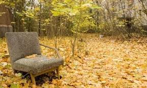 Фауна и флора Чернобыля. Фауна и флора Чернобыля.