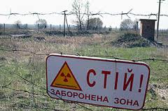 Фауна и флора Чернобыля. Фауна и флора Чернобыля.