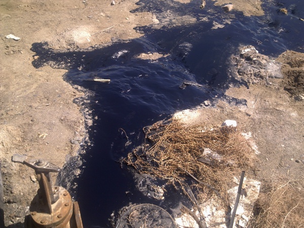 Фотографии Сделанные Мною (пейзажи Ургенча) Фотографии Сделанные Мною (пейзажи Ургенча)