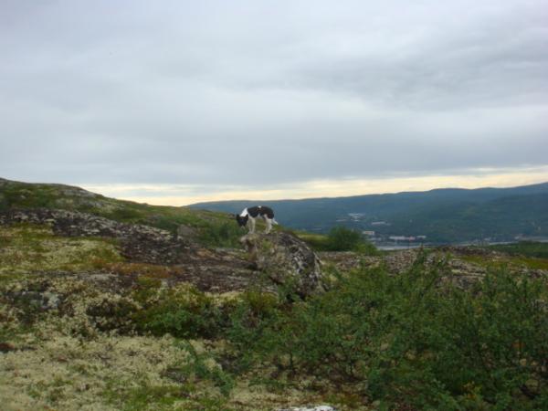 Фоторепортаж: За артефактами к "Радару"