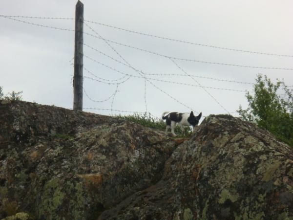 Фоторепортаж: За артефактами к "Радару"