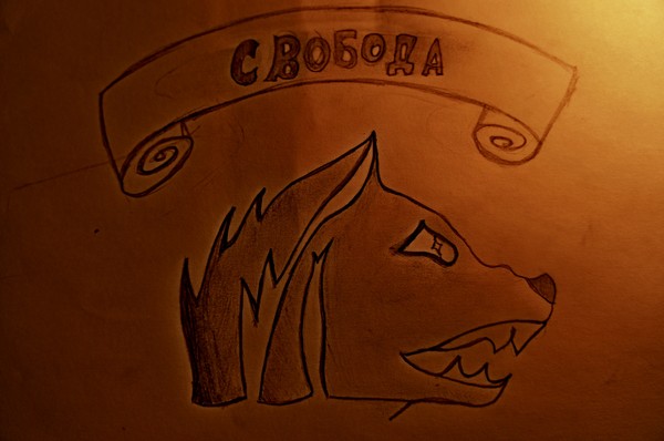 Галерея Свободы. Акция "Найди Анархию!" Галерея Свободы. Акция "Найди Анархию!"