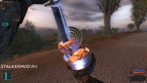 История Сталкера из Греха История Сталкера из Греха