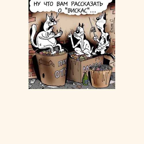 Карикатуры Сергея Елкина