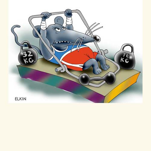 Карикатуры Сергея Елкина