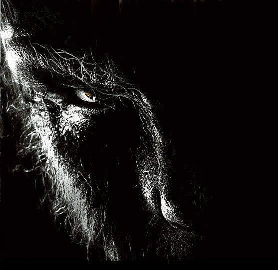 Литературное побоище. Литературное побоище.