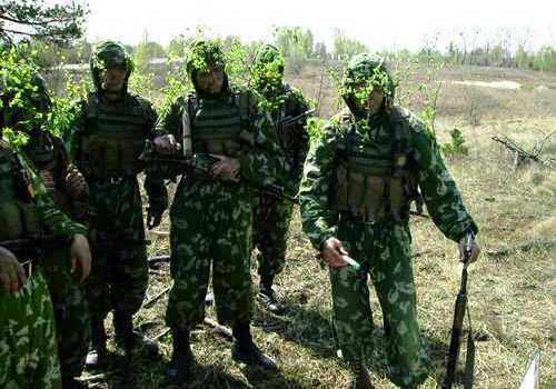 Межклановый Военный Департамент. Межклановый Военный Департамент.