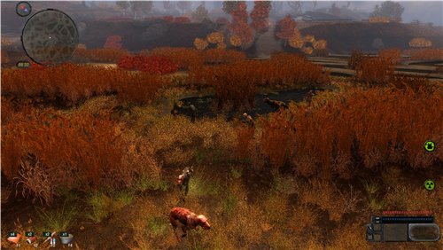 MY ZONE мод для Зов Припяти