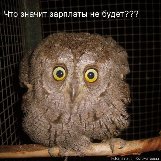 Немного прикольных картинок