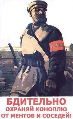 Немного прикольных картинок