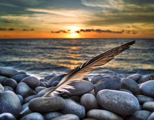 Nik Software HDR Efex Pro 1.200.11615 + RUS Nik Software HDR Efex Pro 1.200.11615 + RUS