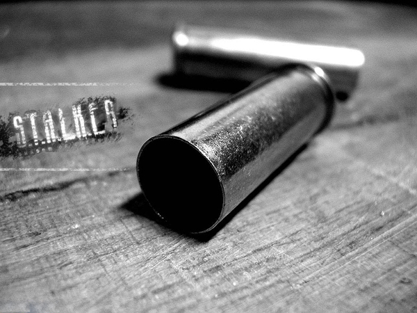 "Новости по разработке "NLC6 - Путь к истине"