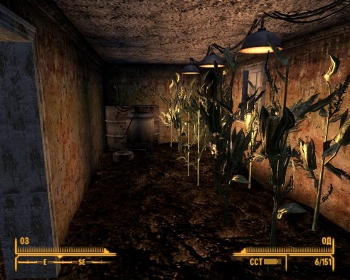 Охота на секреты! Fallout: New Vegas