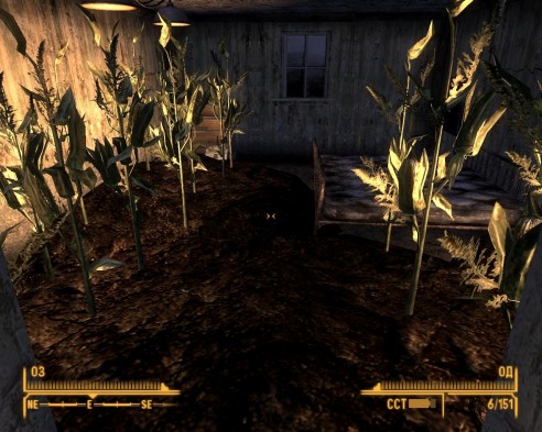 Охота на секреты! Fallout: New Vegas