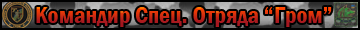 Отрядъ Свободы "Гром" Отрядъ Свободы "Гром"