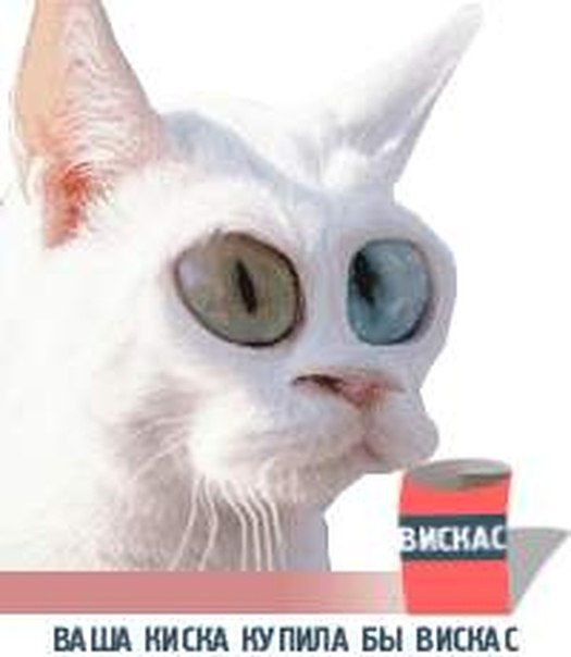 Подборка весёлых картинок