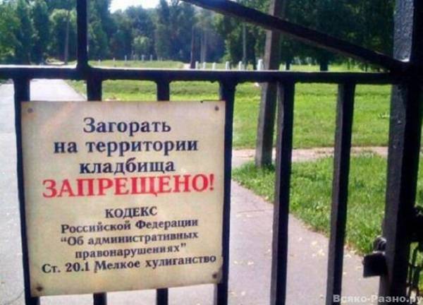 Подборка весёлых картинок