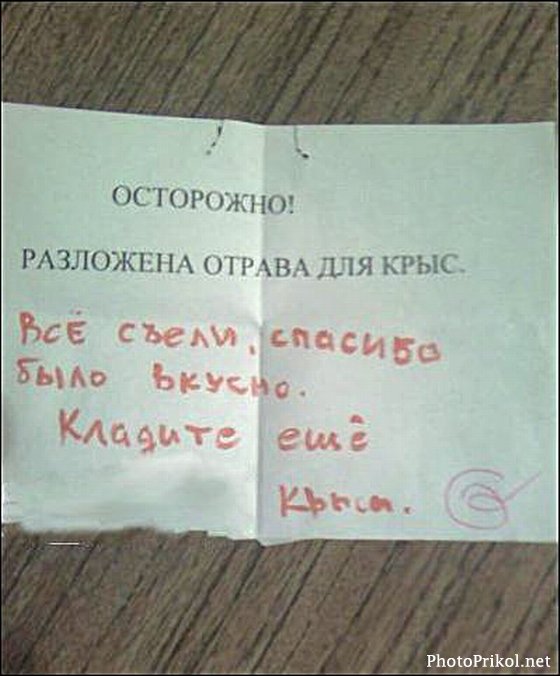 Подборка весёлых картинок