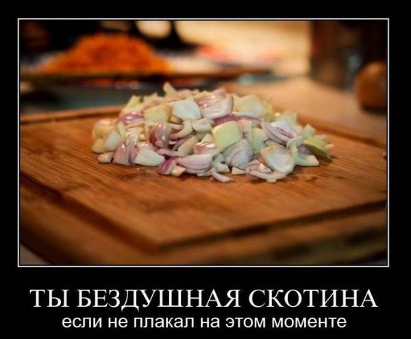 Прикольные демотиваторы