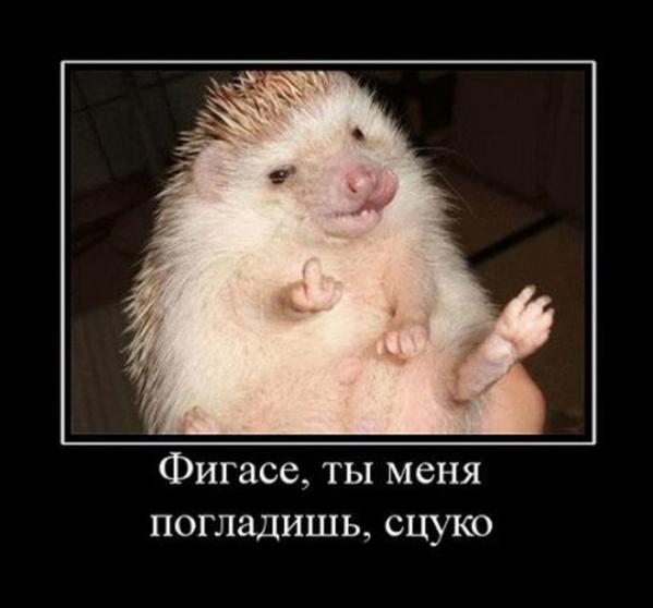 Продли жизнь 