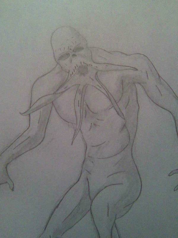 Рисунки, Рисунки,