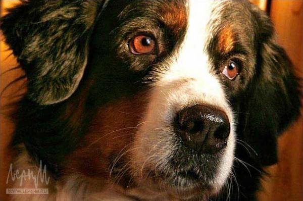 Счастливы вместе 