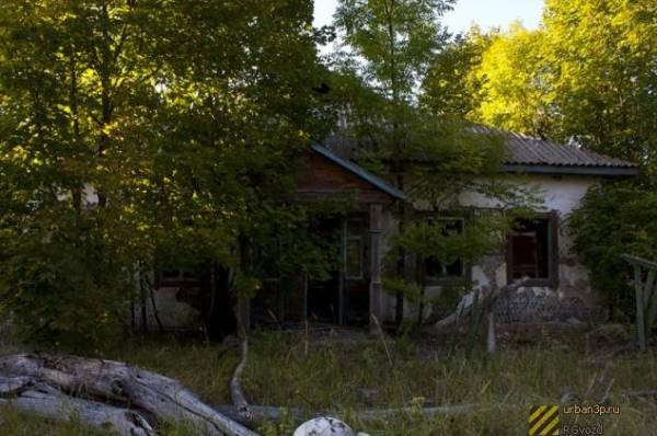 Село Толстый Лес (Киевская область, Чернобыльский район, Украина)